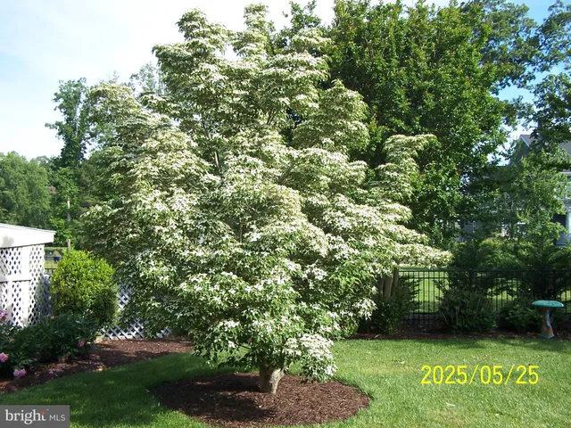 $629,000 | 106 Creekside Drive, Dagsboro, DE 19939