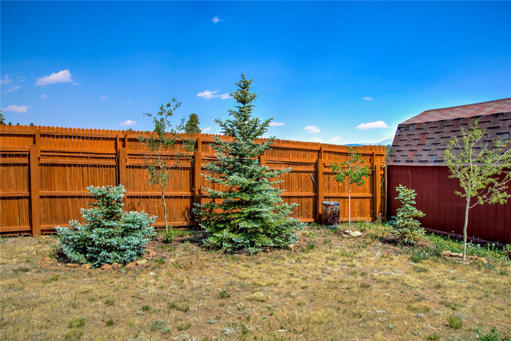 653 Vine Road Fairplay, CO 80440 - Photo 7 of 50