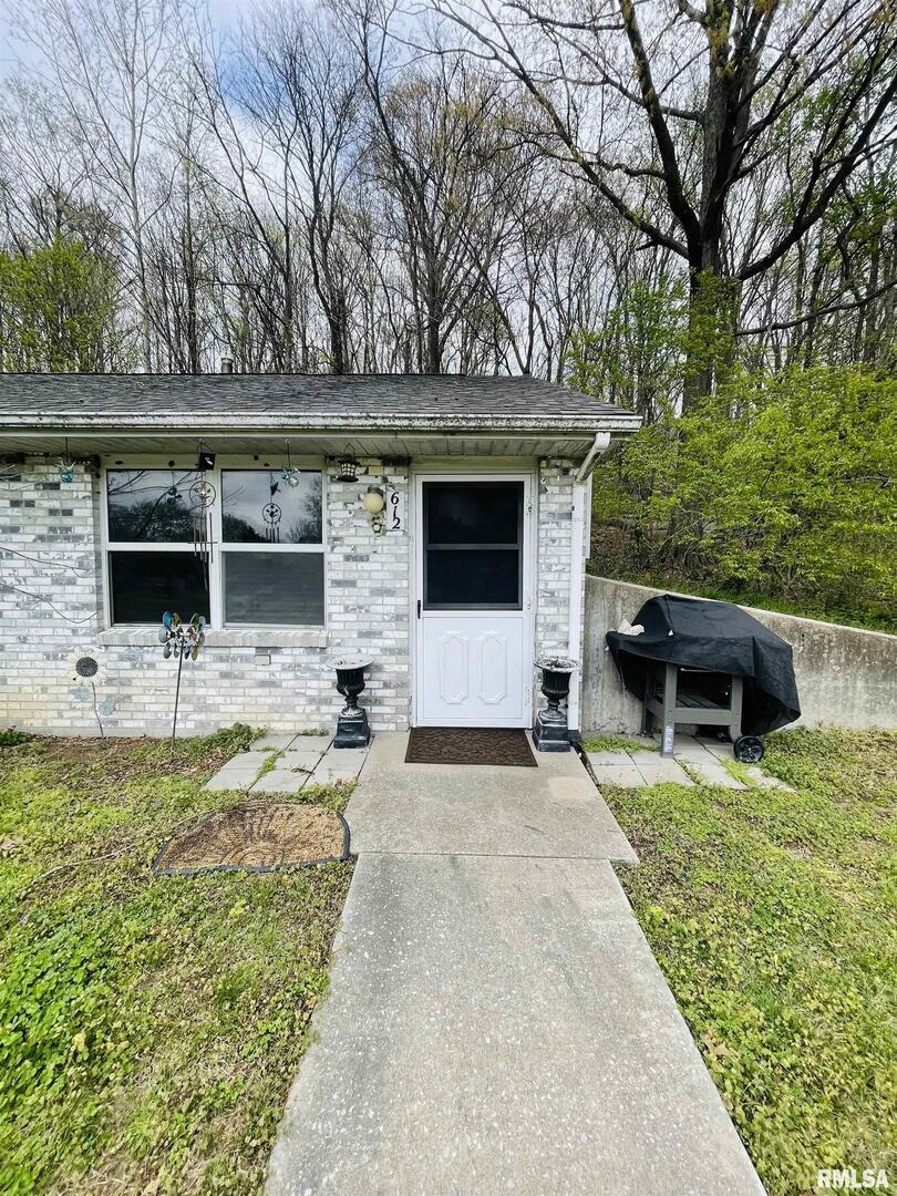 612 3rd Avenue Grand Tower, IL 62942 - Photo 4 of 18