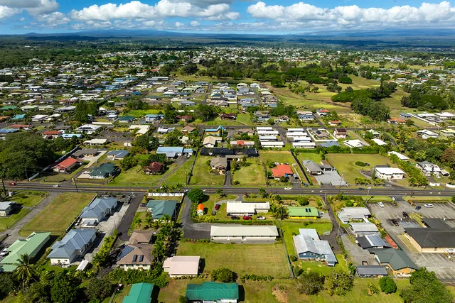 an aerial view of residential building and trees