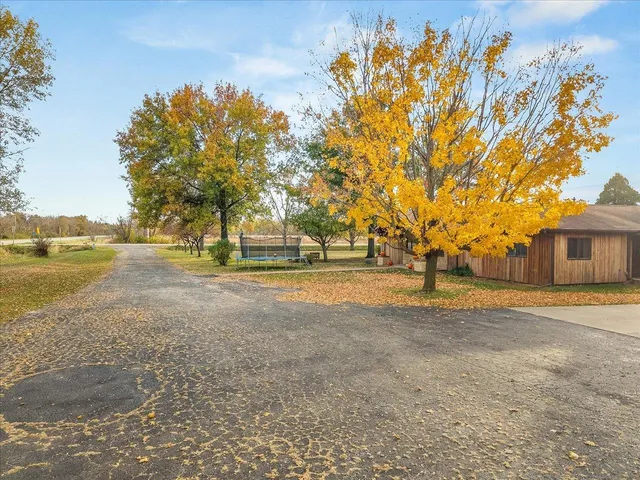a view of dirt field with trees