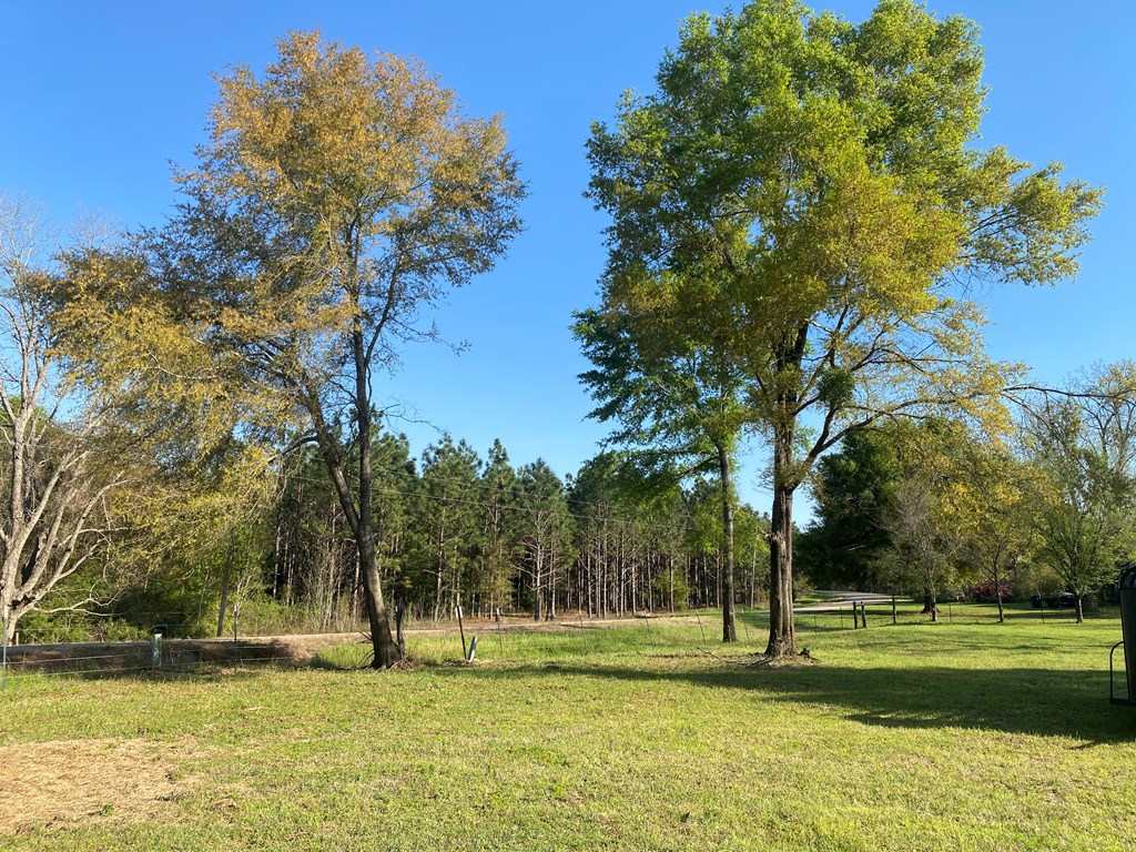 0 Co Road Abbeville, AL 36310 - Photo 52 of 53