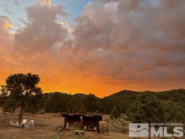 2428 Cartwright Road Reno, NV 89521 - Photo 36 of 39 a view of a lot of trees and sky