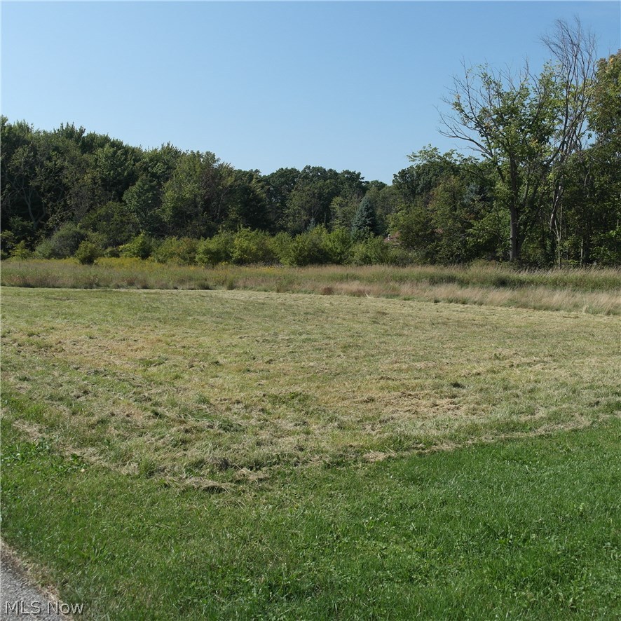 8304 Brakeman Road Painesville, OH 44077 - Photo 22 of 22
