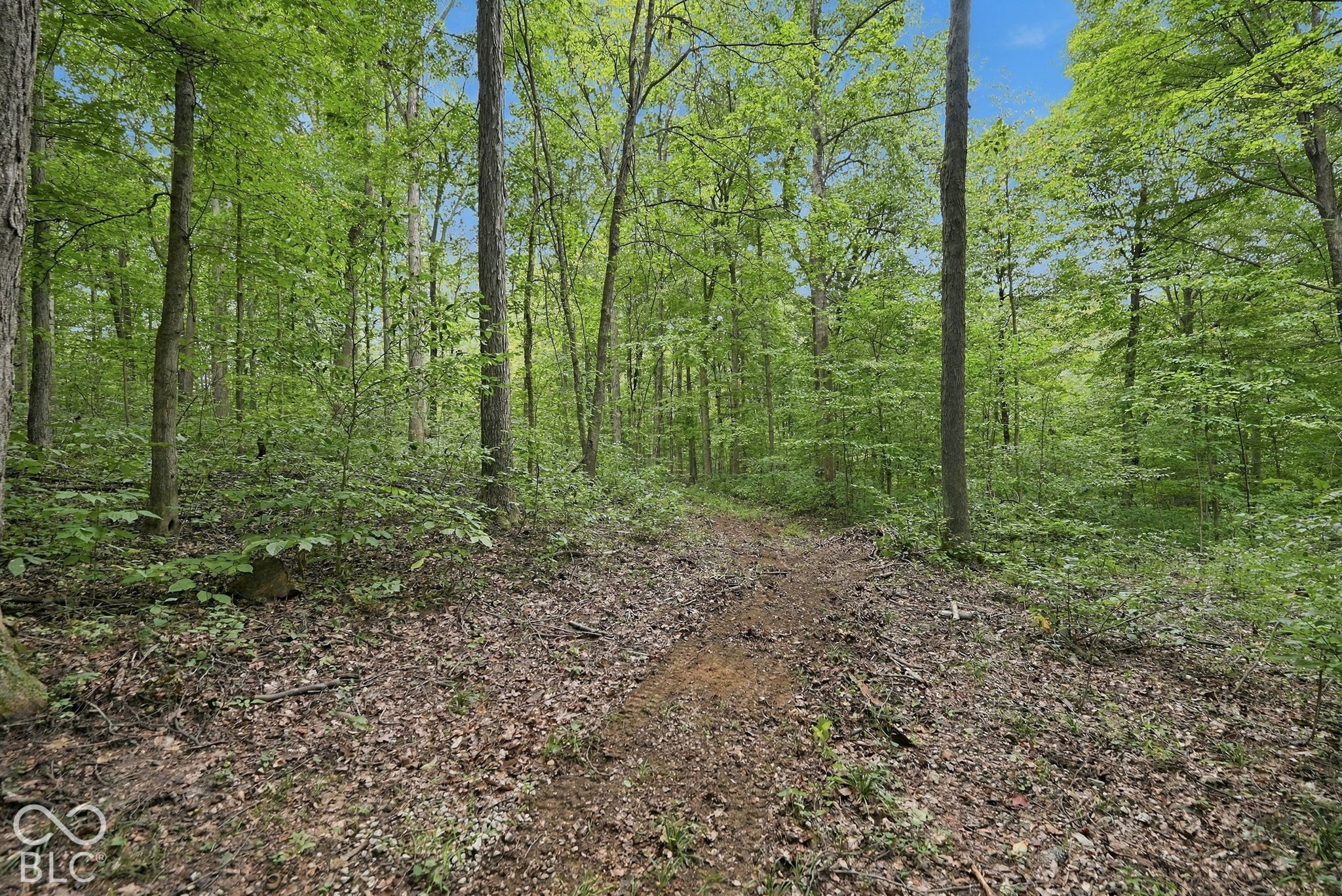 2275 South Silcox Road Paragon, IN 46166 - Photo 11 of 15 Gallery Image 11