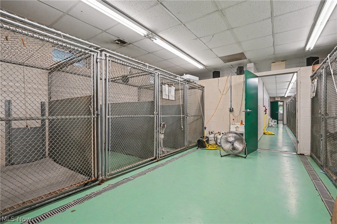 4250 Herr Fieldhouse Road Southington, OH 44470 - Photo 36 of 50 Interior kennel space with multiple commercial grade chain-link enclosures, light green flooring with integrated drainage, and a suspended ceiling with fluorescent lighting