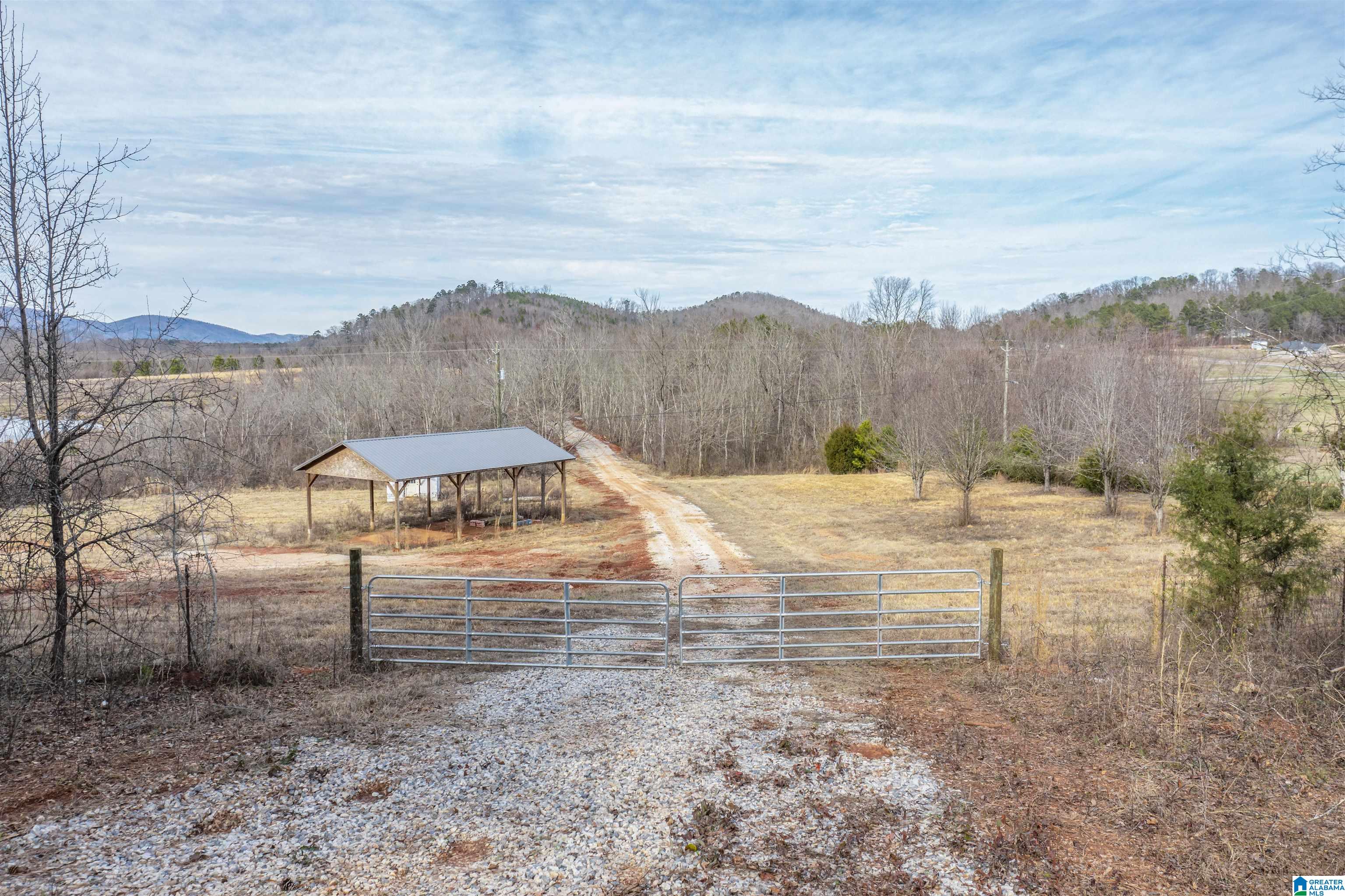 1619 Old Downing Ml Road, Unit 40 03 ACRES Anniston, AL 36207 - Photo 2 of 29