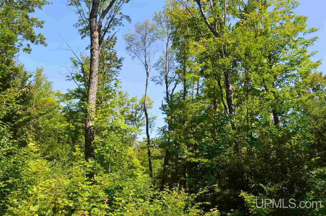 Tbd Lakeview Road Toivola, MI 49965 - Photo 23 of 43 Gallery Image 23