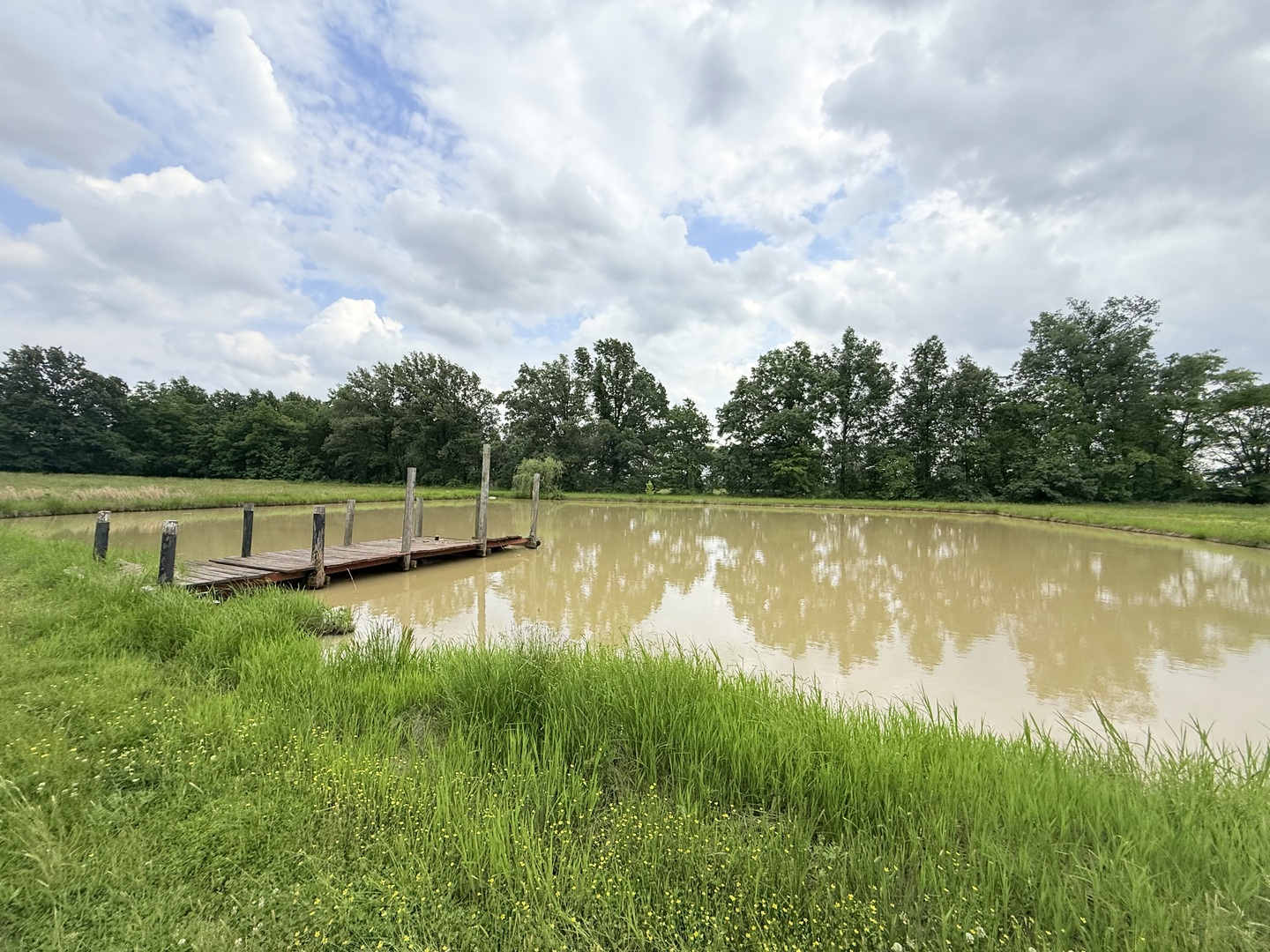 55 Curry Road Eldorado, IL 62930 - Photo 5 of 5