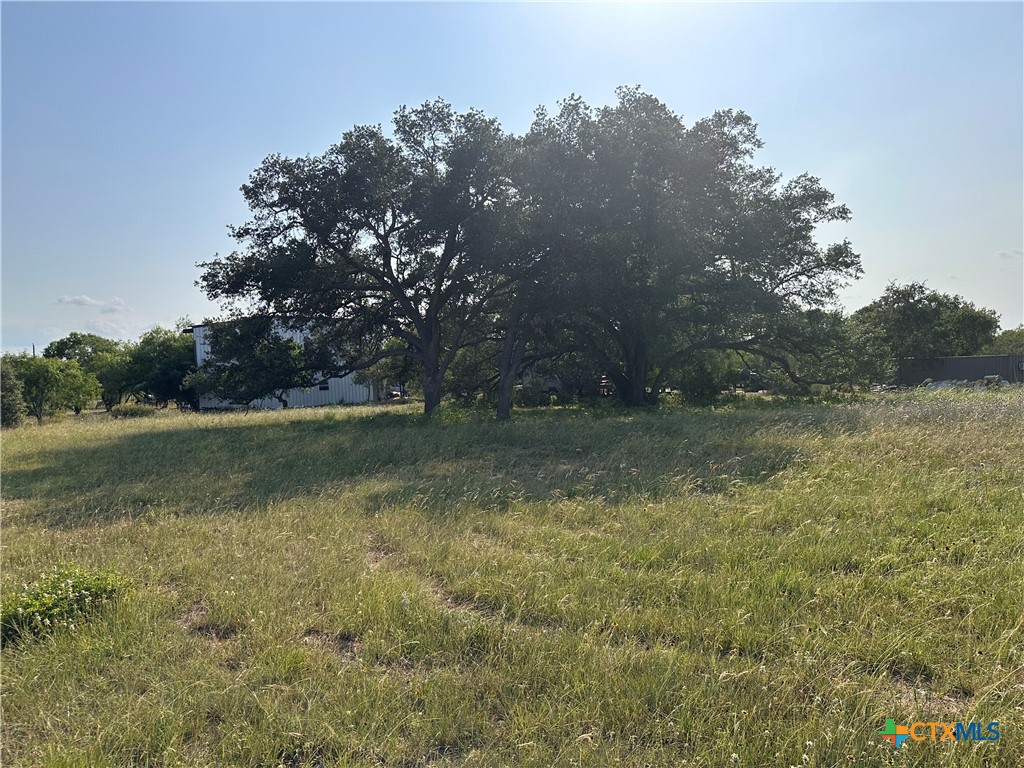 1295 Rainbow Road Cuero, TX 77954 - Photo 1 of 1 Gallery Image 1