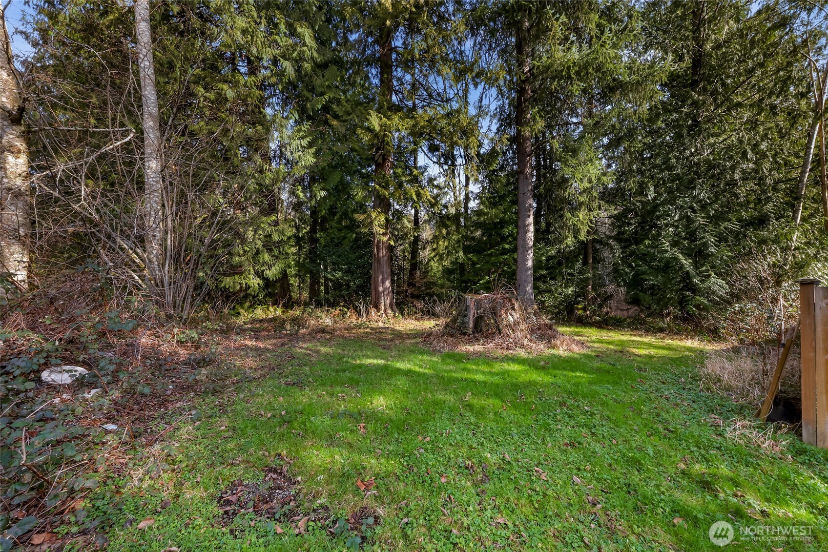 6655 North Fruitdale Road Sedro-Woolley, WA 98284 - Photo 5 of 11 a view of a park with large trees