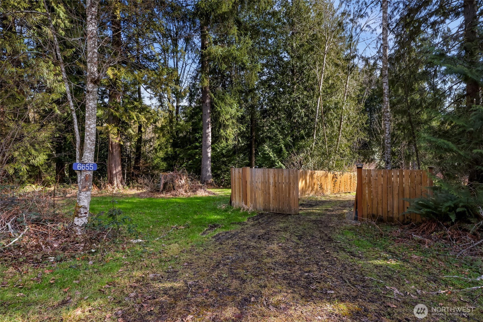 6655 North Fruitdale Road Sedro-Woolley, WA 98284 - Photo 6 of 11 a view of backyard with green space