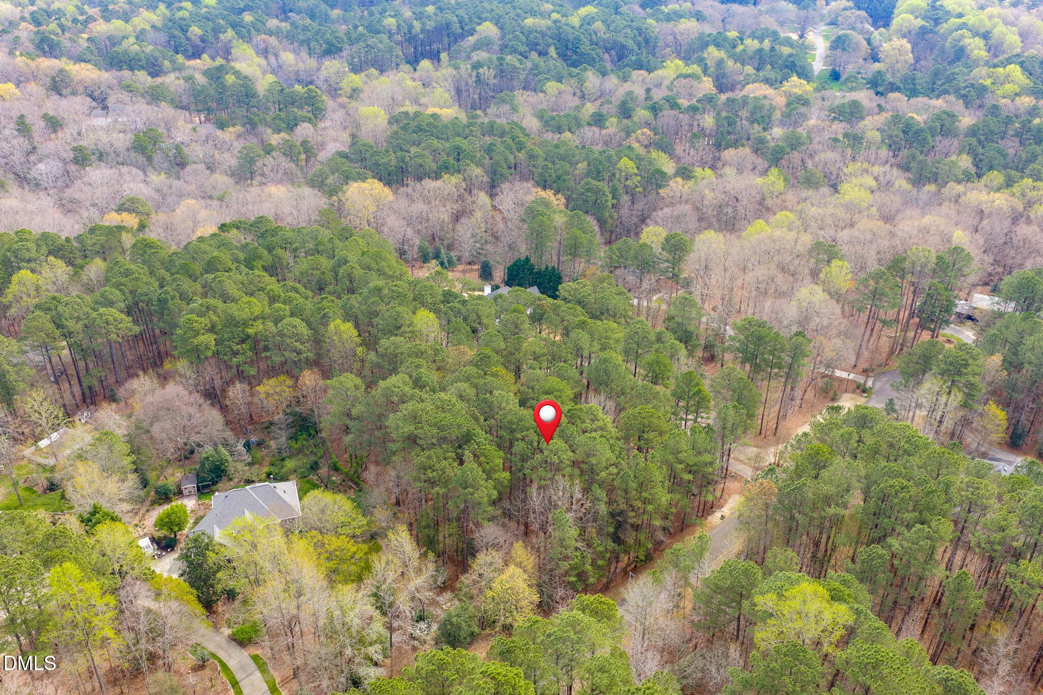 1121 Erins Way Lane Raleigh, NC 27614 - Photo 6 of 20 a view of a bunch of flowers