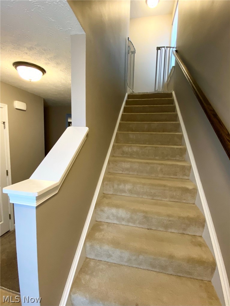 31818 Rustic Ridge North Ridgeville, OH 44039 - Photo 20 of 35 Gallery Image 20