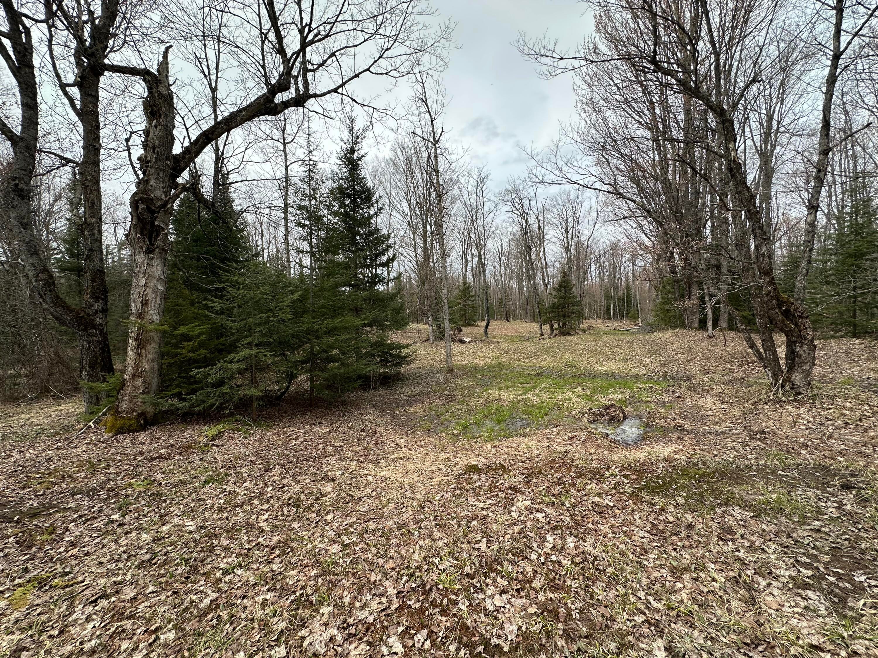 1999 West 15 Mile Road Kinross, MI 49752 - Photo 2 of 32 Gallery Image 2