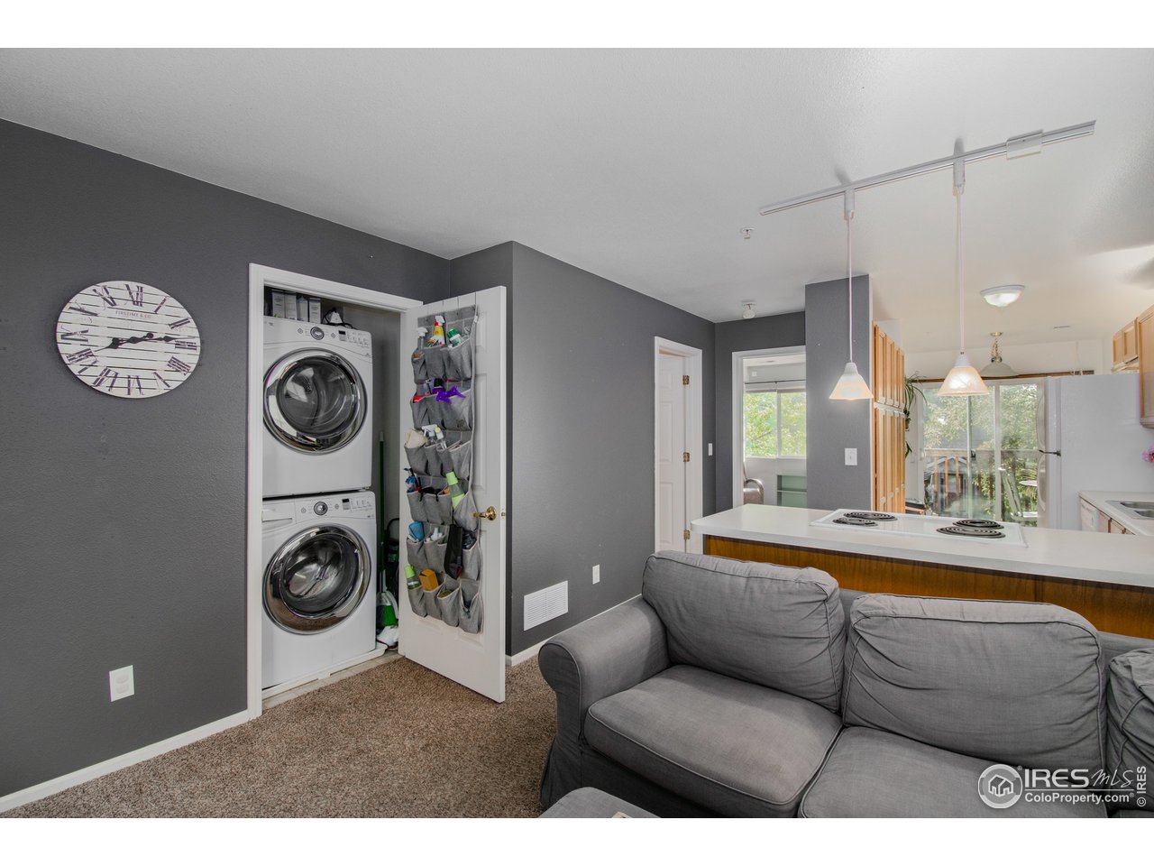 121 East Swallow Road, Unit 203 Fort Collins, CO 80525 - Photo 5 of 22 In-unit Sackable Laundry