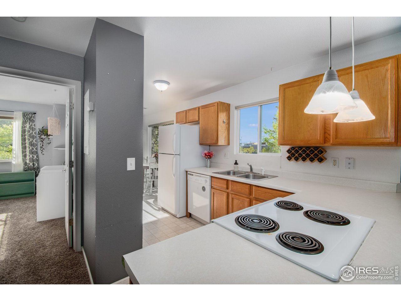 121 East Swallow Road, Unit 203 Fort Collins, CO 80525 - Photo 6 of 22 Excellent Counterspace