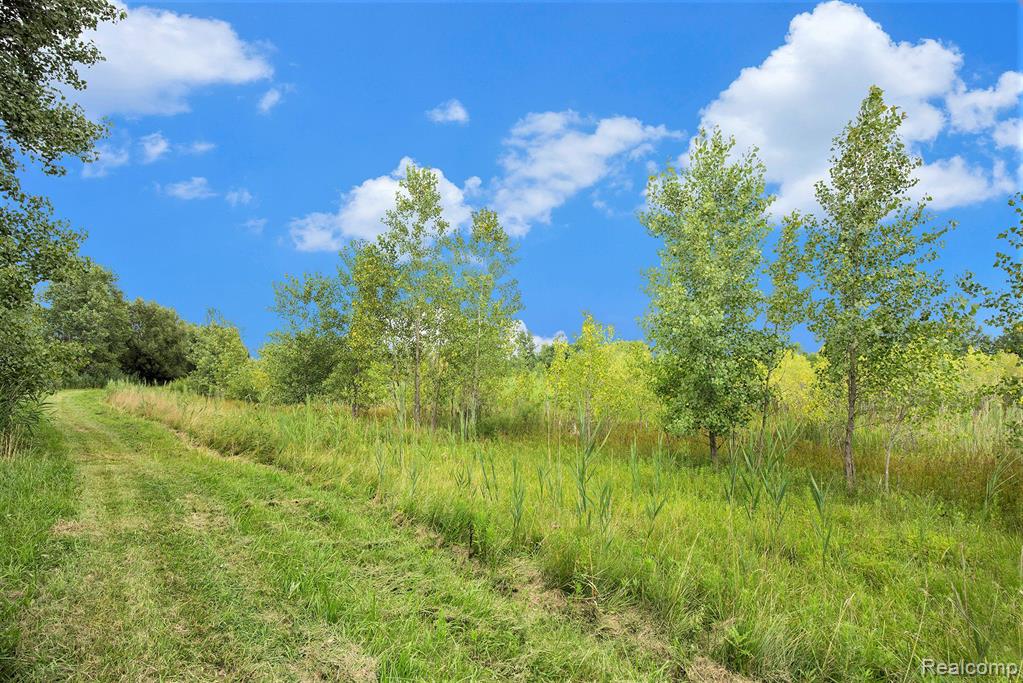 29988 Armada Ridge Road Richmond, MI 48062 - Photo 13 of 25