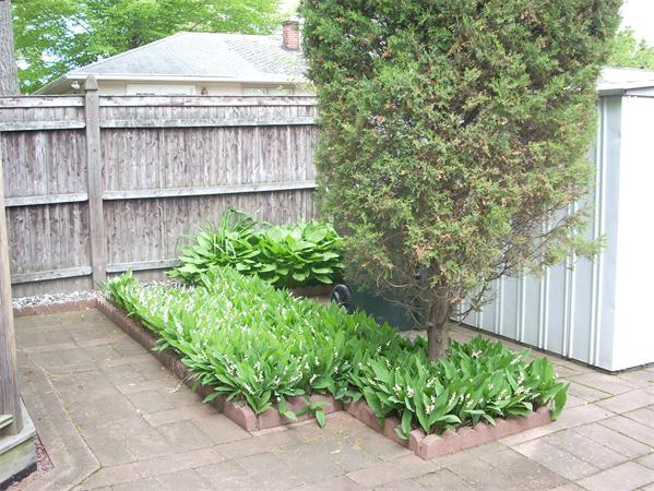 68 Patterson Avenue Springfield, MA 01119 - Photo 5 of 24 a small garden covered with wooden fence