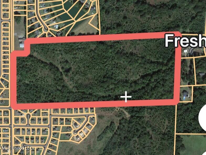 60-acres Woolfolk Road Senatobia, MS 38668 - Photo 1 of 1 60 Acres Woolfork