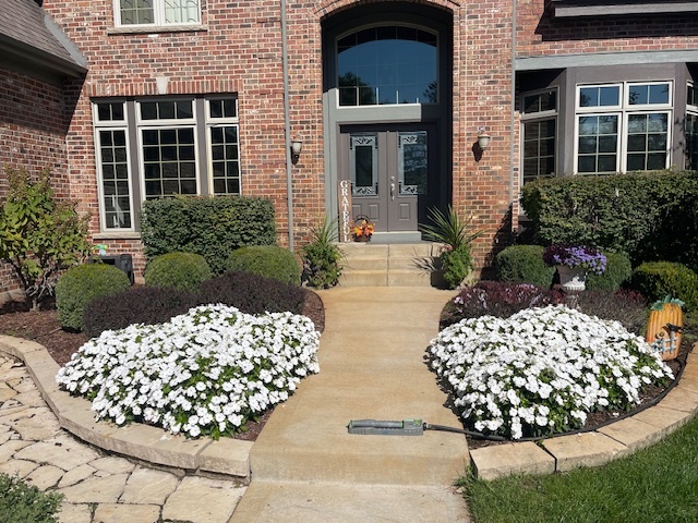 2086 Bilter Road Aurora, IL 60502 - Photo 48 of 59