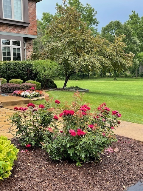 2086 Bilter Road Aurora, IL 60502 - Photo 55 of 59 a view of a house with a big yard and large trees
