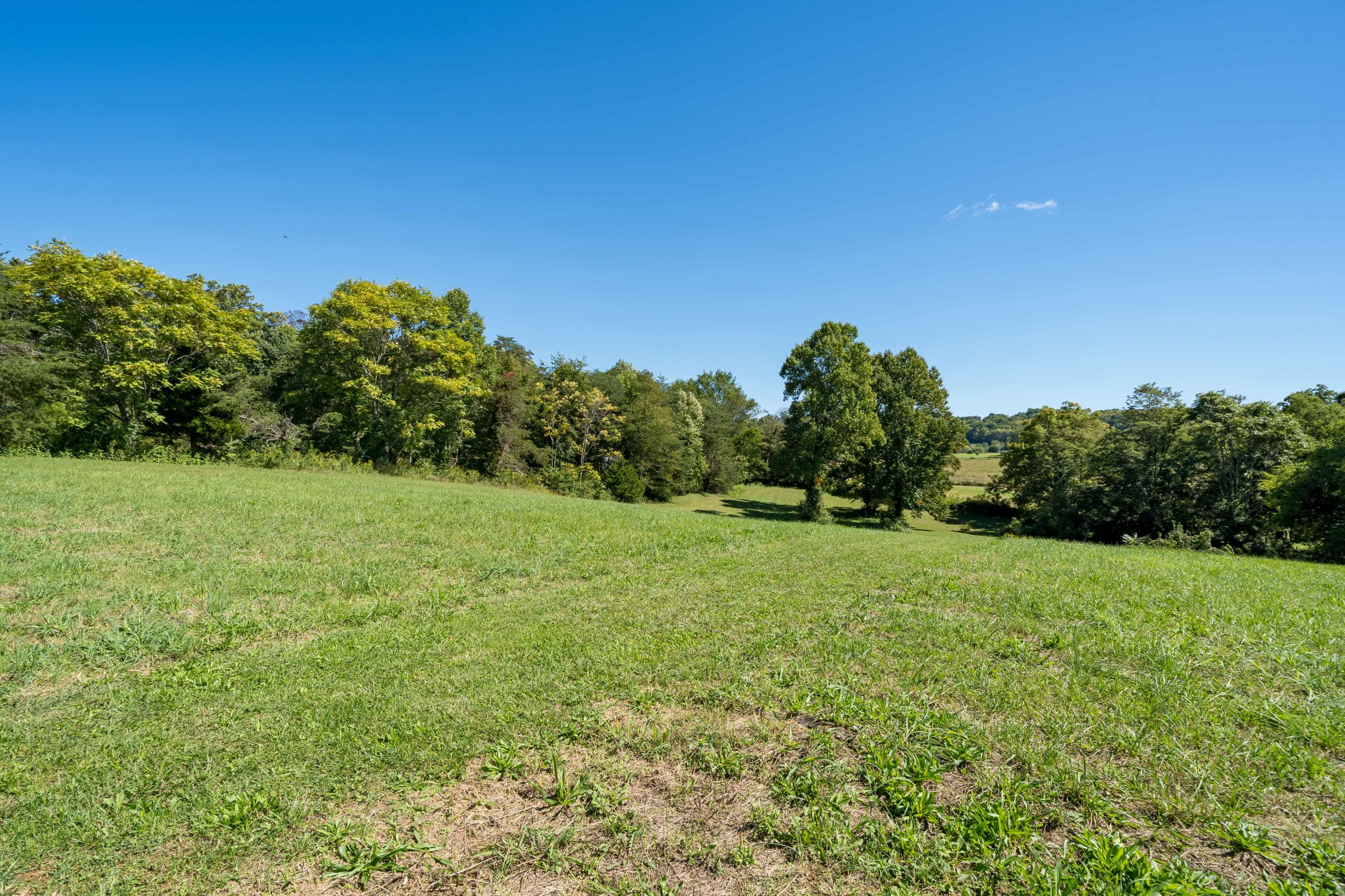 384 Sliger Road Jonesborough, TN 37659 - Photo 36 of 69 384 Sliger Rd (25 of 69)