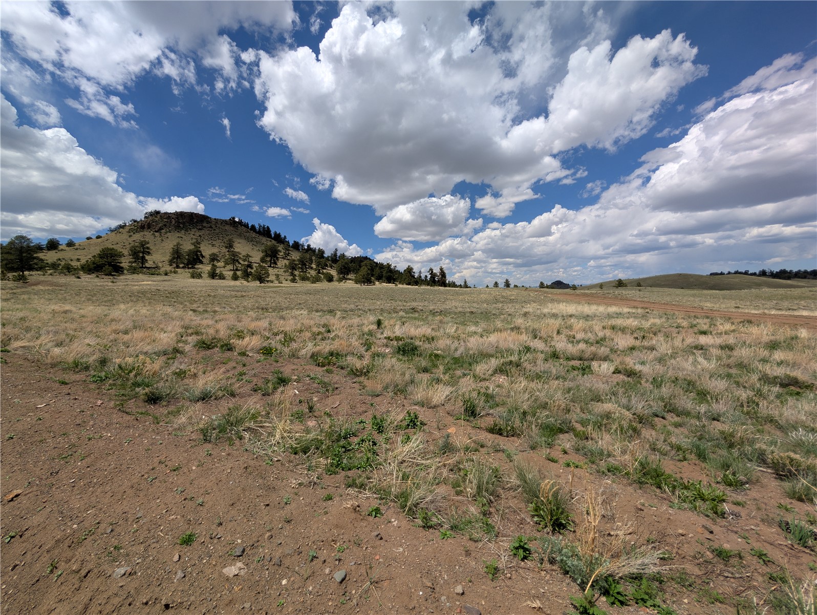 0 Black Beaver Road Hartsel, CO 80449 - Photo 8 of 28 Gallery Image 8