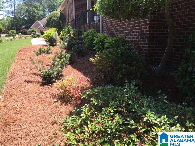 126 Monarch Road Springville, AL 35146 - Photo 4 of 43
