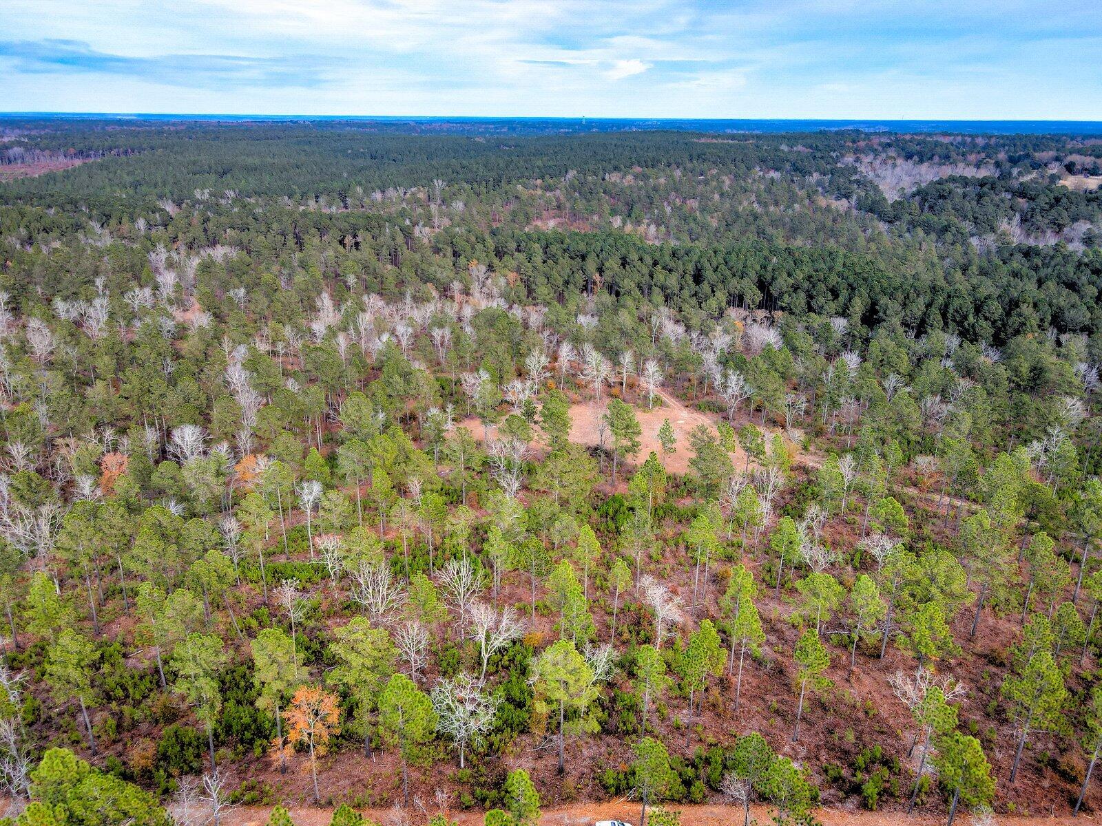 0 Deer Run Road, Unit B Williston, SC 29853 - Photo 18 of 19 Gallery Image 18
