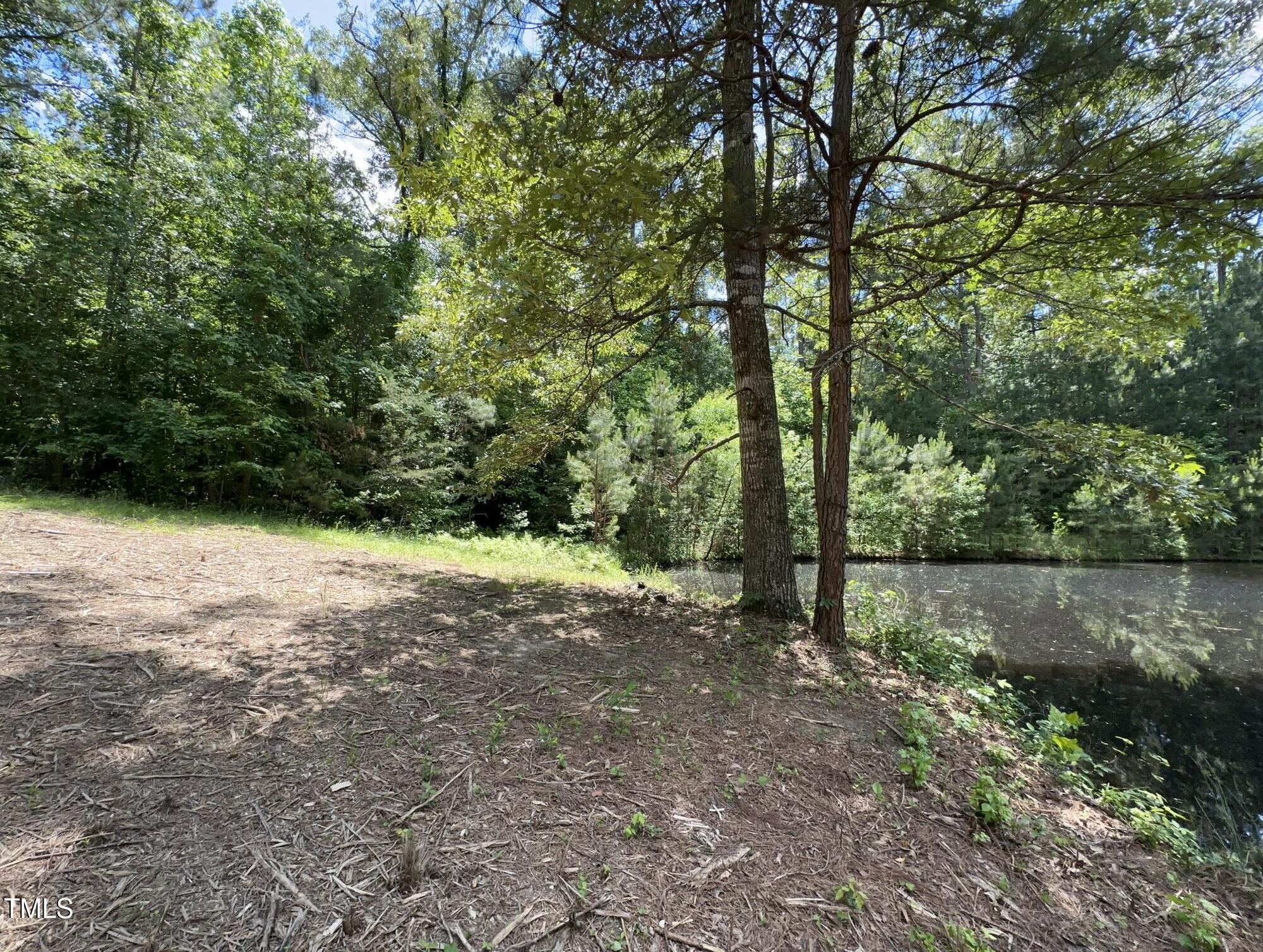 6229 Horse Fly Trail Wake Forest, NC 27587 - Photo 12 of 20 a view of a forest with trees in the background