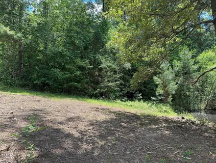 a view of backyard with green space