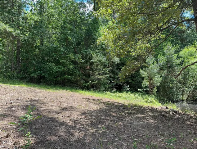 a view of backyard with green space