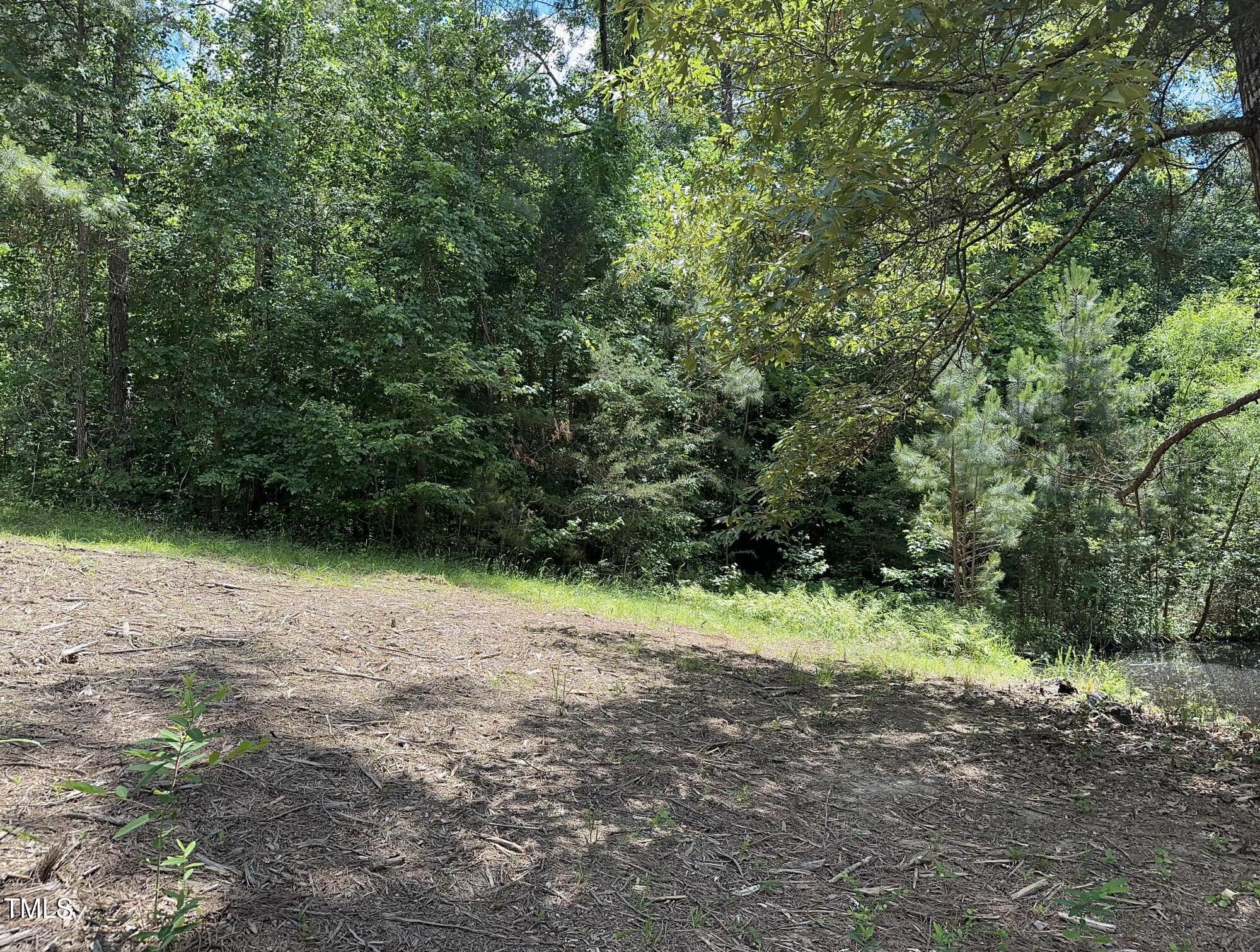 6229 Horse Fly Trail Wake Forest, NC 27587 - Photo 13 of 20 a view of backyard with green space