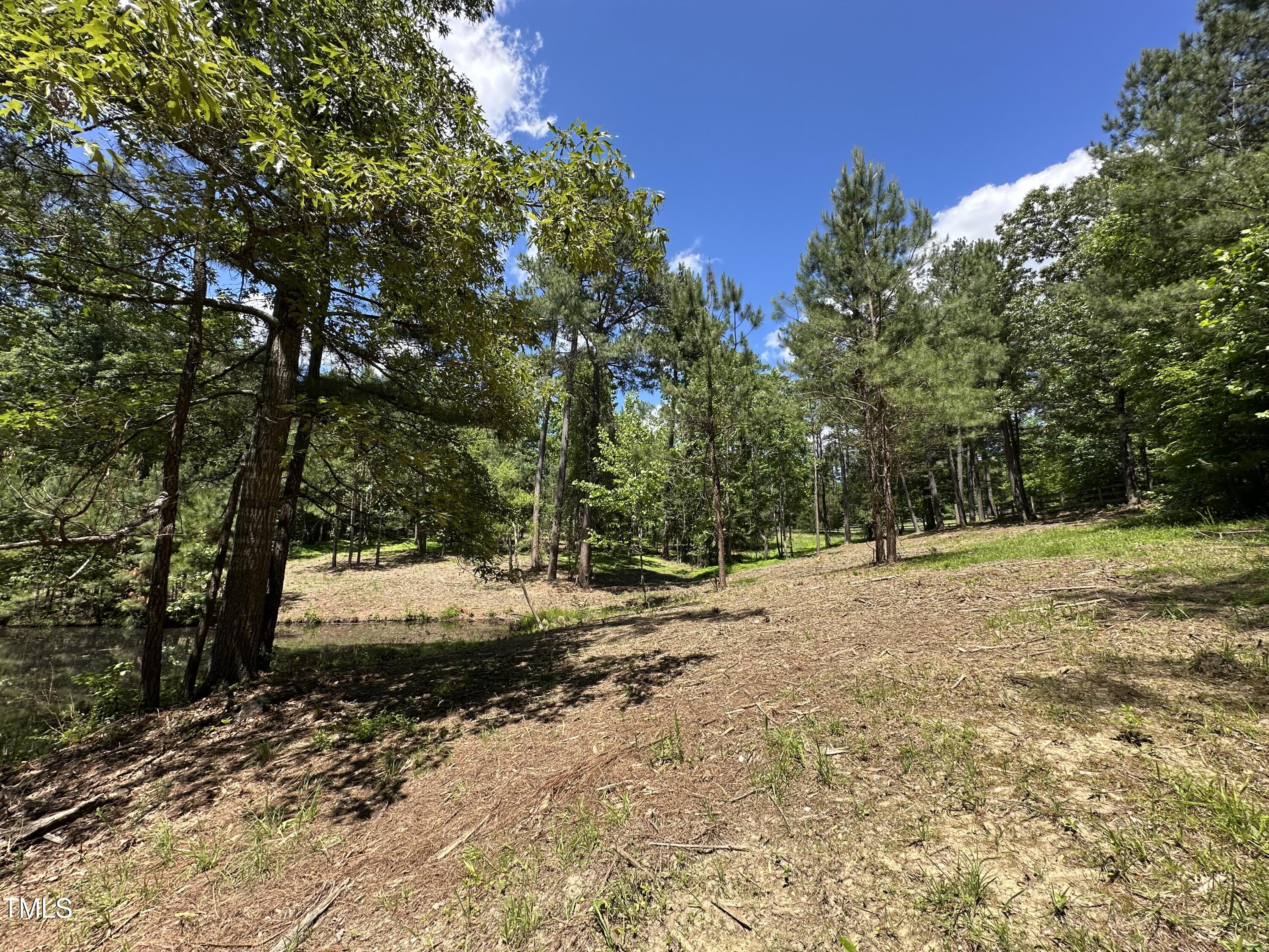 6229 Horse Fly Trail Wake Forest, NC 27587 - Photo 14 of 20 a view of a yard with trees
