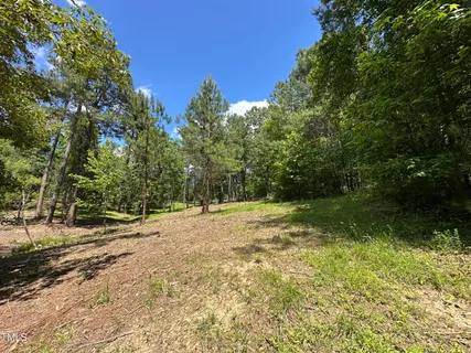 a view of a yard with a tree