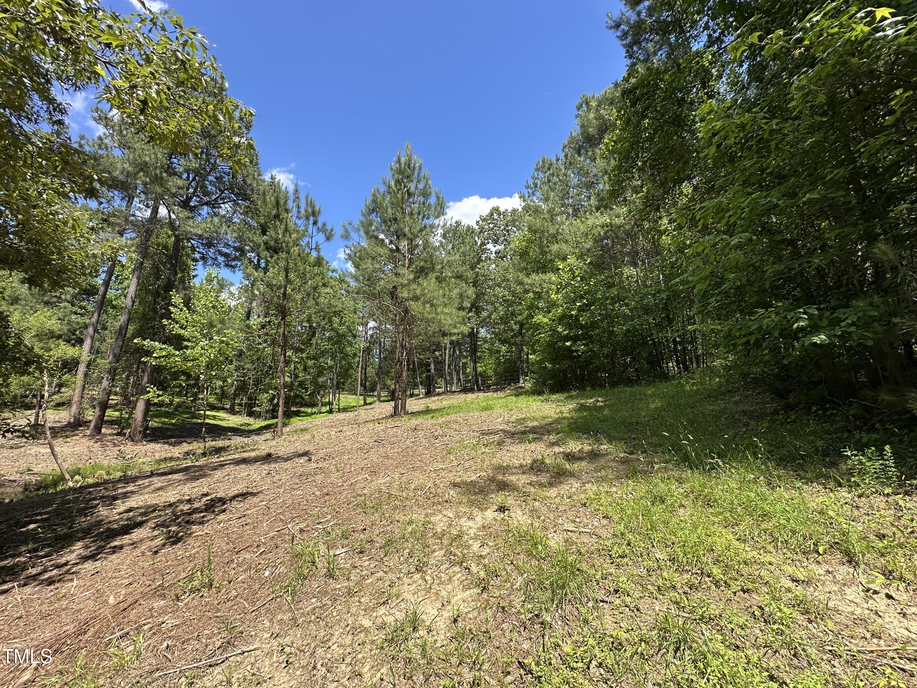 6229 Horse Fly Trail Wake Forest, NC 27587 - Photo 15 of 20 a view of a yard with a tree