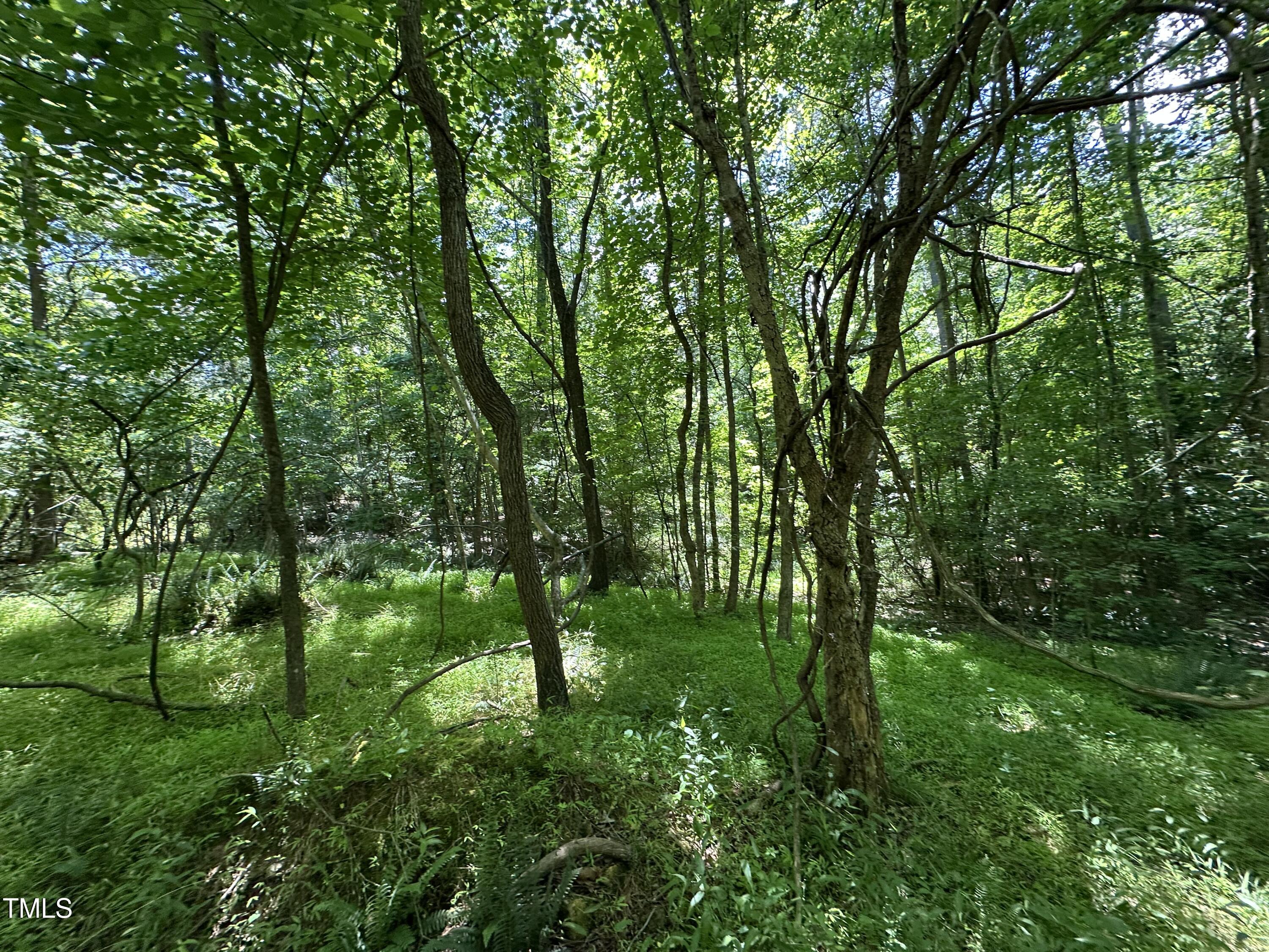 6229 Horse Fly Trail Wake Forest, NC 27587 - Photo 16 of 20 a view of outdoor space and yard