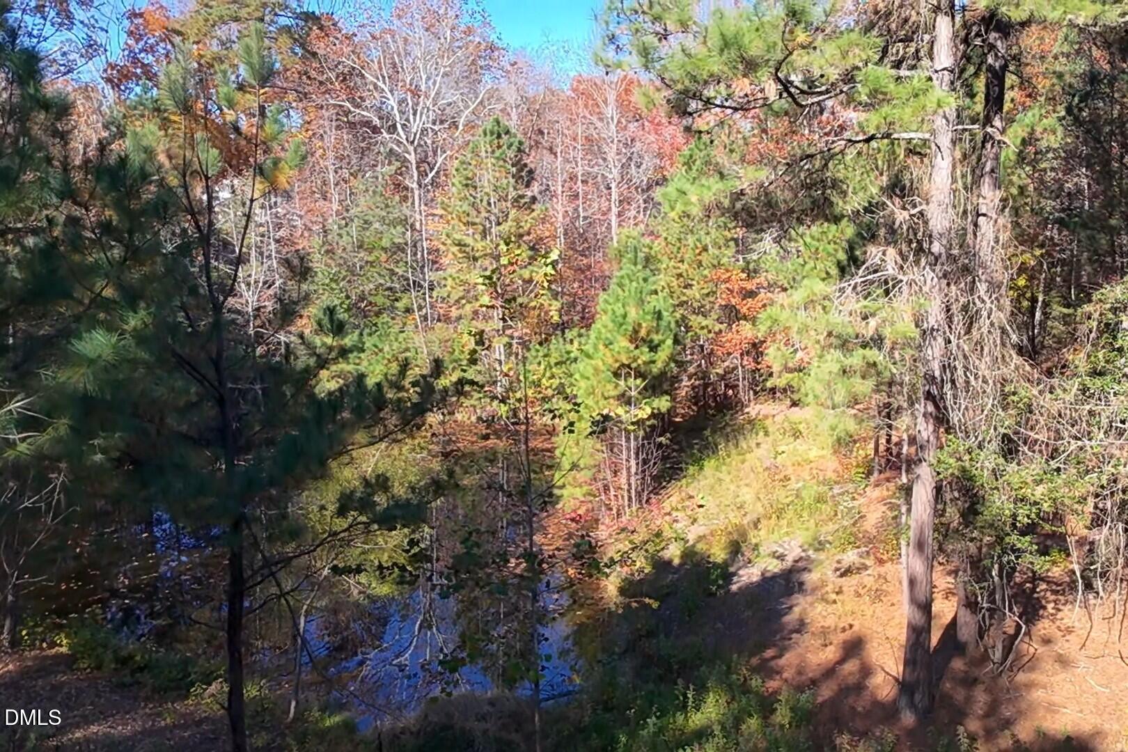 6229 Horse Fly Trail Wake Forest, NC 27587 - Photo 18 of 20 a backyard of a house