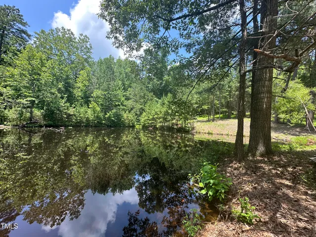 a view of a garden with plants and a lake view