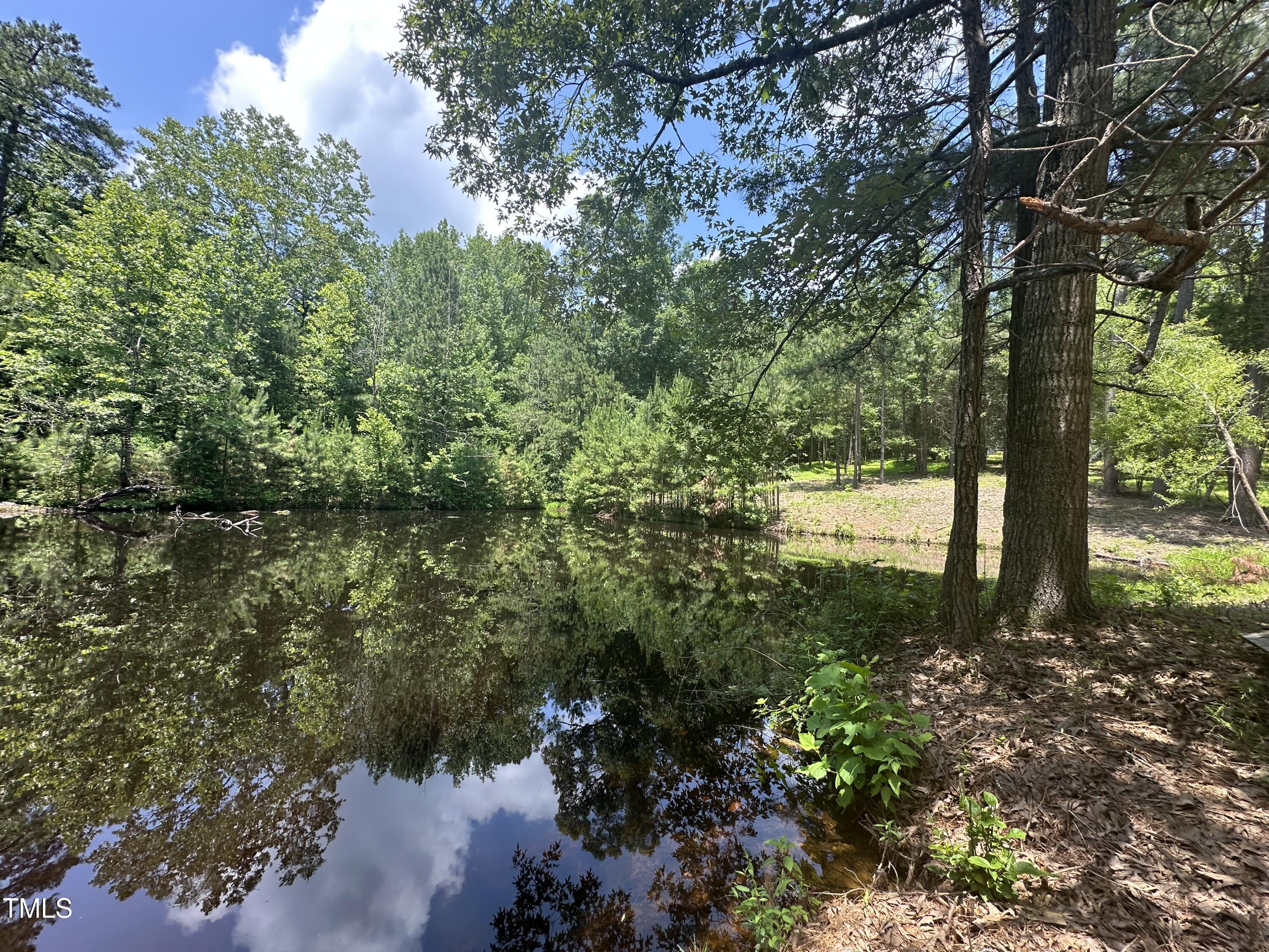 6229 Horse Fly Trail Wake Forest, NC 27587 - Photo 2 of 20 a view of a garden with plants and a lake view