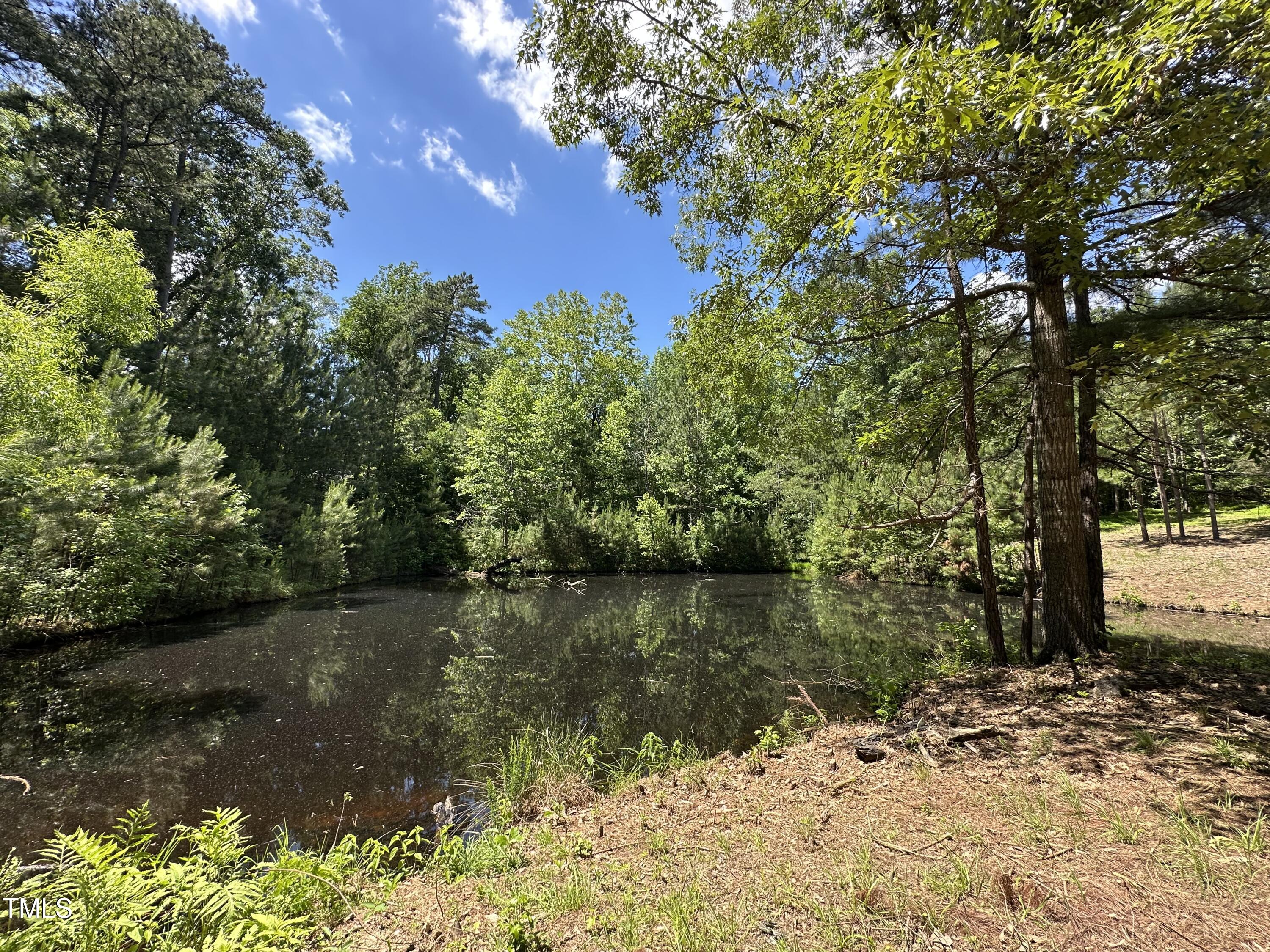 6229 Horse Fly Trail Wake Forest, NC 27587 - Photo 3 of 20 a view of lake with green space