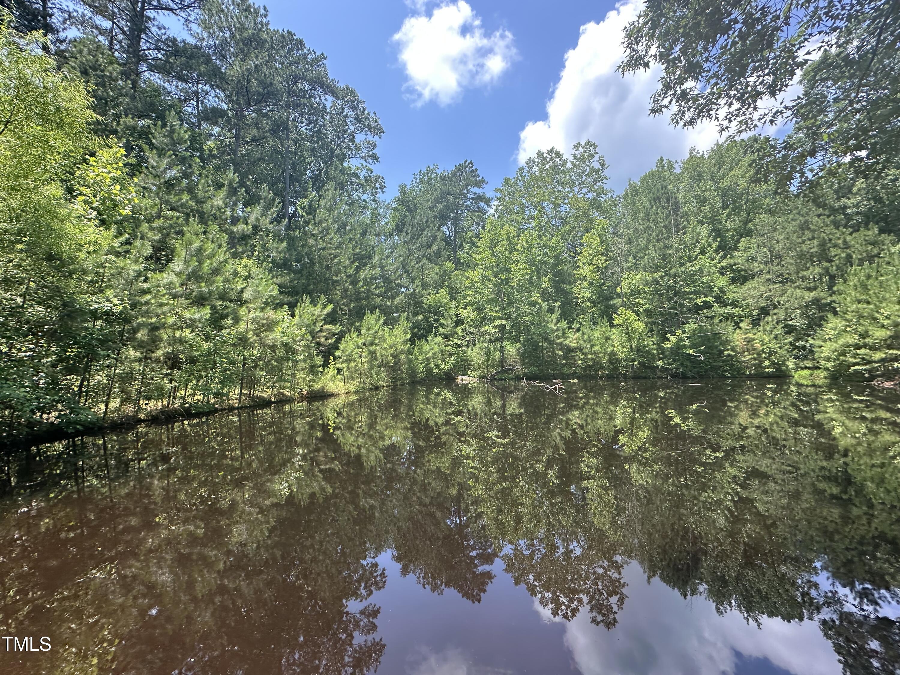 6229 Horse Fly Trail Wake Forest, NC 27587 - Photo 5 of 20 a view of a yard with a tree