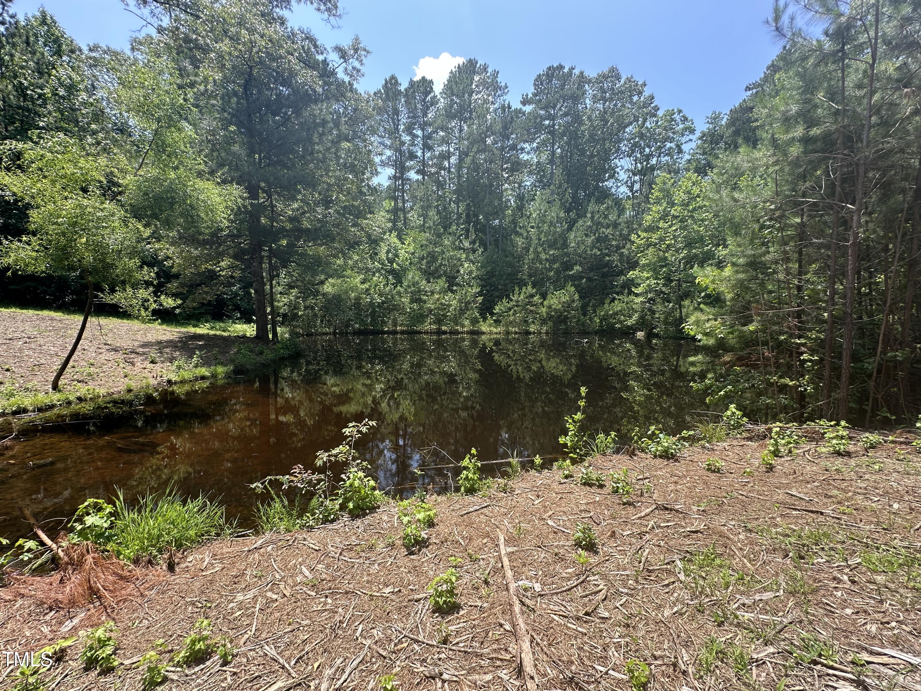 6229 Horse Fly Trail Wake Forest, NC 27587 - Photo 6 of 20 a view of lake with a yard