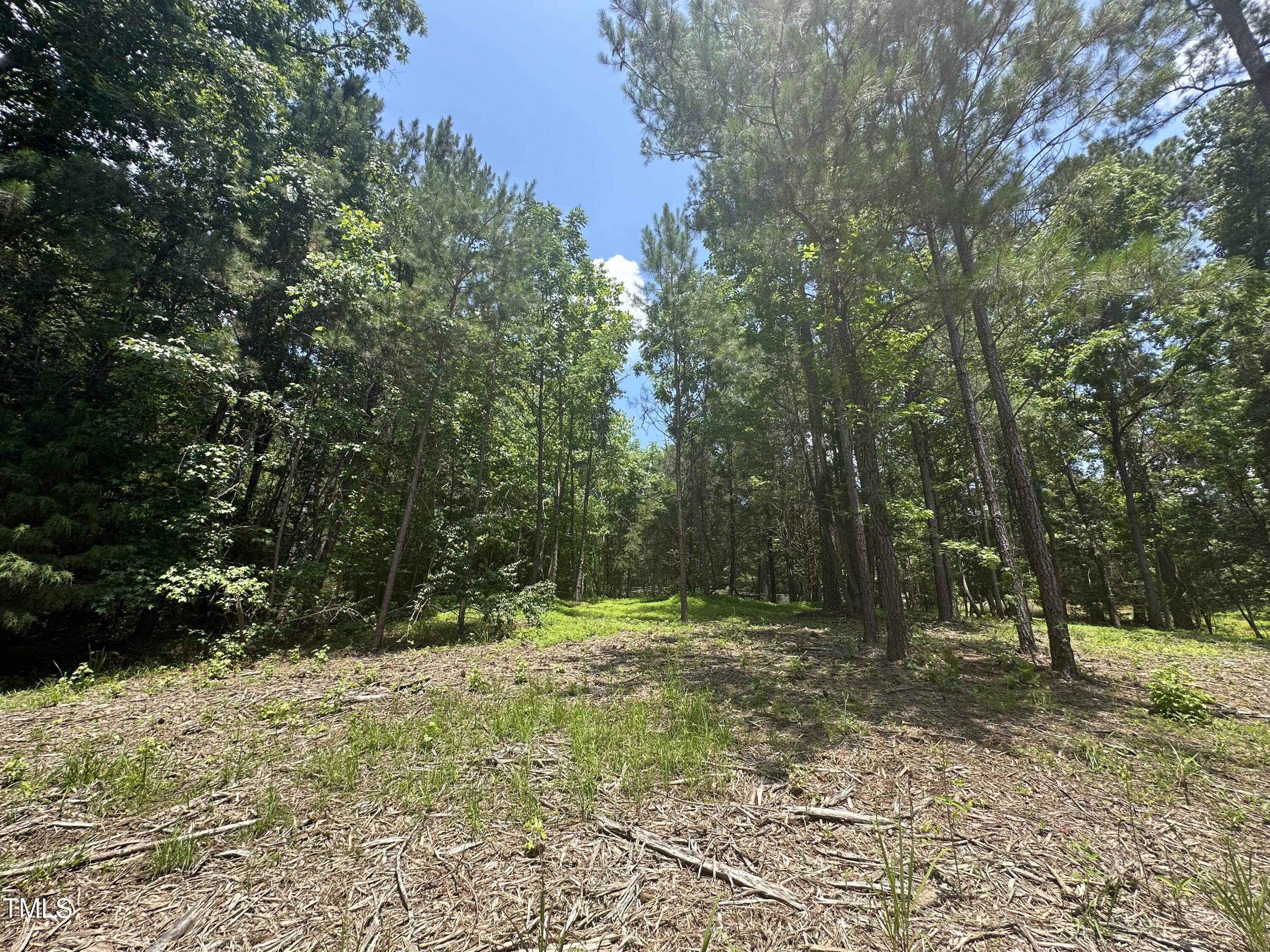 6229 Horse Fly Trail Wake Forest, NC 27587 - Photo 7 of 20 a view of outdoor space with trees