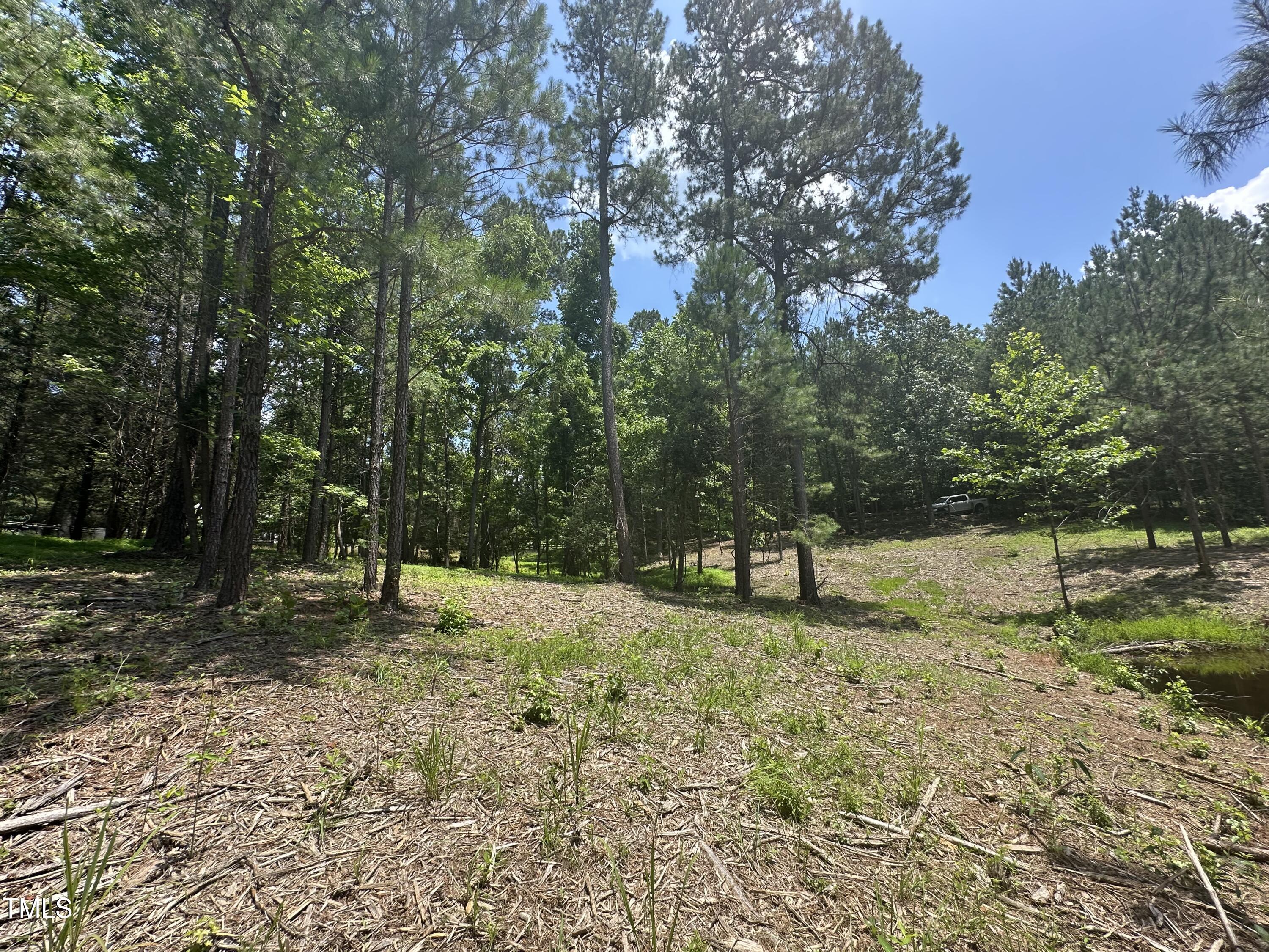 6229 Horse Fly Trail Wake Forest, NC 27587 - Photo 8 of 20 a fire hydrant in the middle of a field