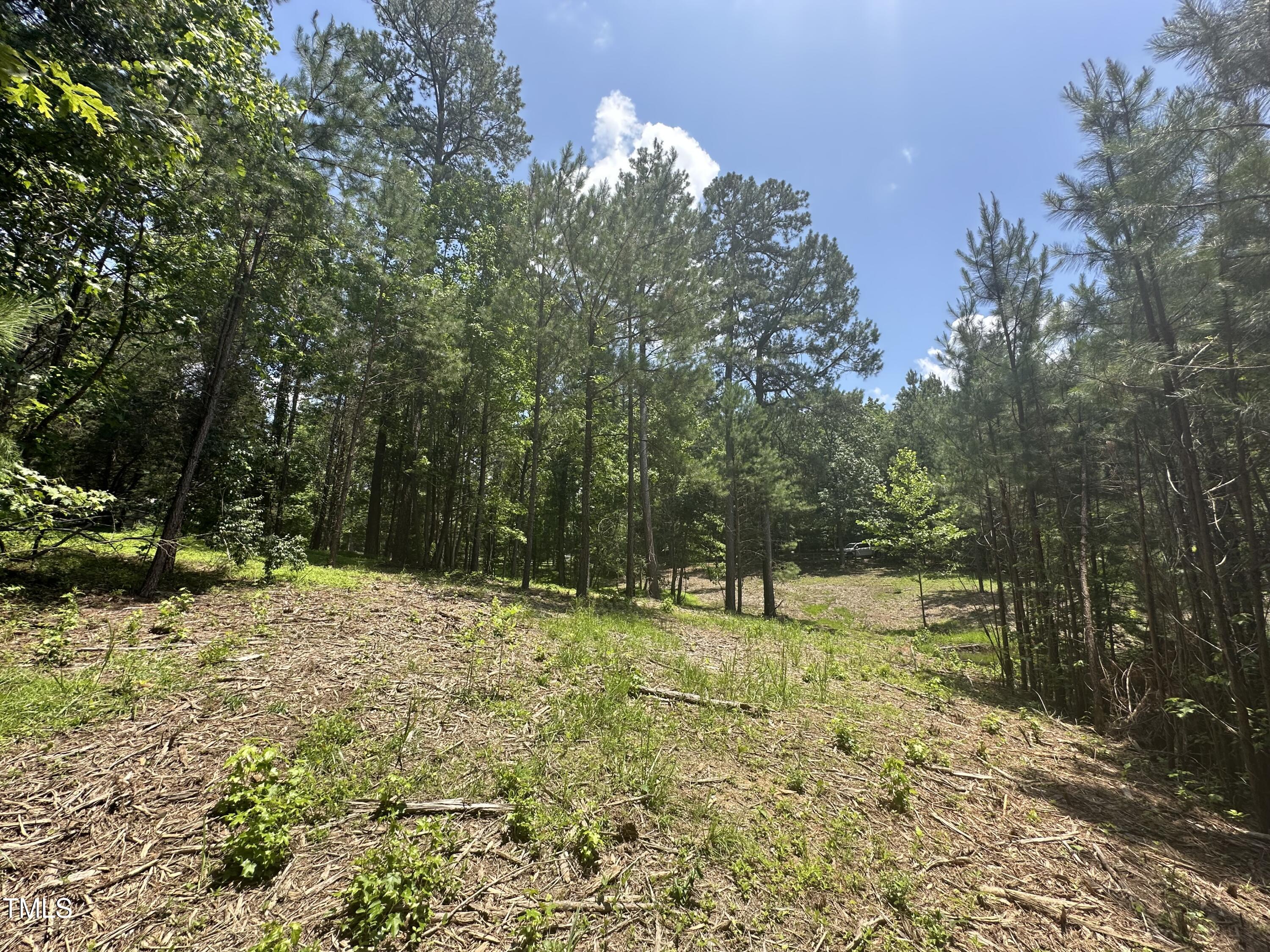 6229 Horse Fly Trail Wake Forest, NC 27587 - Photo 9 of 20 a view of a yard with trees
