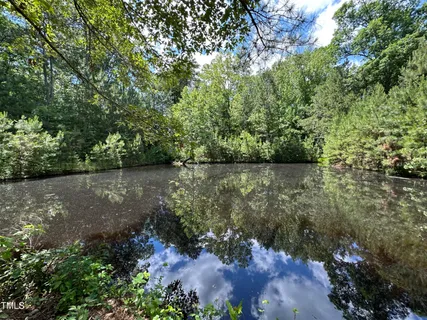 a view of a lake with a forest