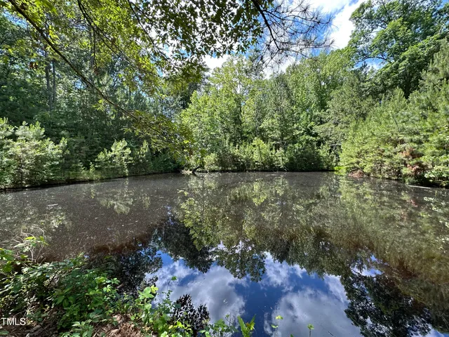 a view of a lake with a forest