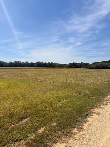 $64,000 | 0 Dancing Eagle Lane, Unit LOT 7, Clifton, TN 38425